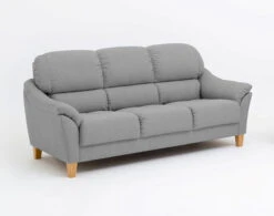 Leposohva Gustav, 3-ist.