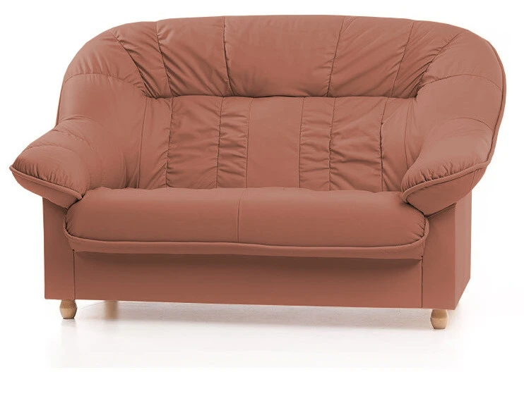 Nahkaverhoiltu Veronika-kulmadivaani - Image 2