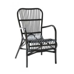 Rottinkituoli Gina, Musta